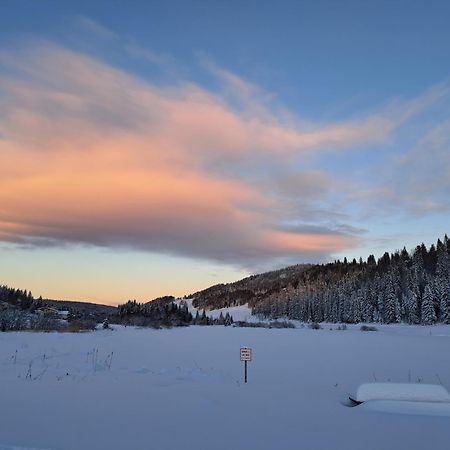 Au Coeur Du Lapidaire Septmoncel-Les-Molunes Экстерьер фото