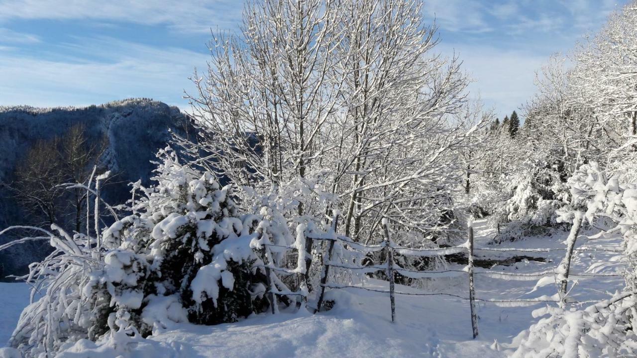 Au Coeur Du Lapidaire Septmoncel-Les-Molunes Экстерьер фото