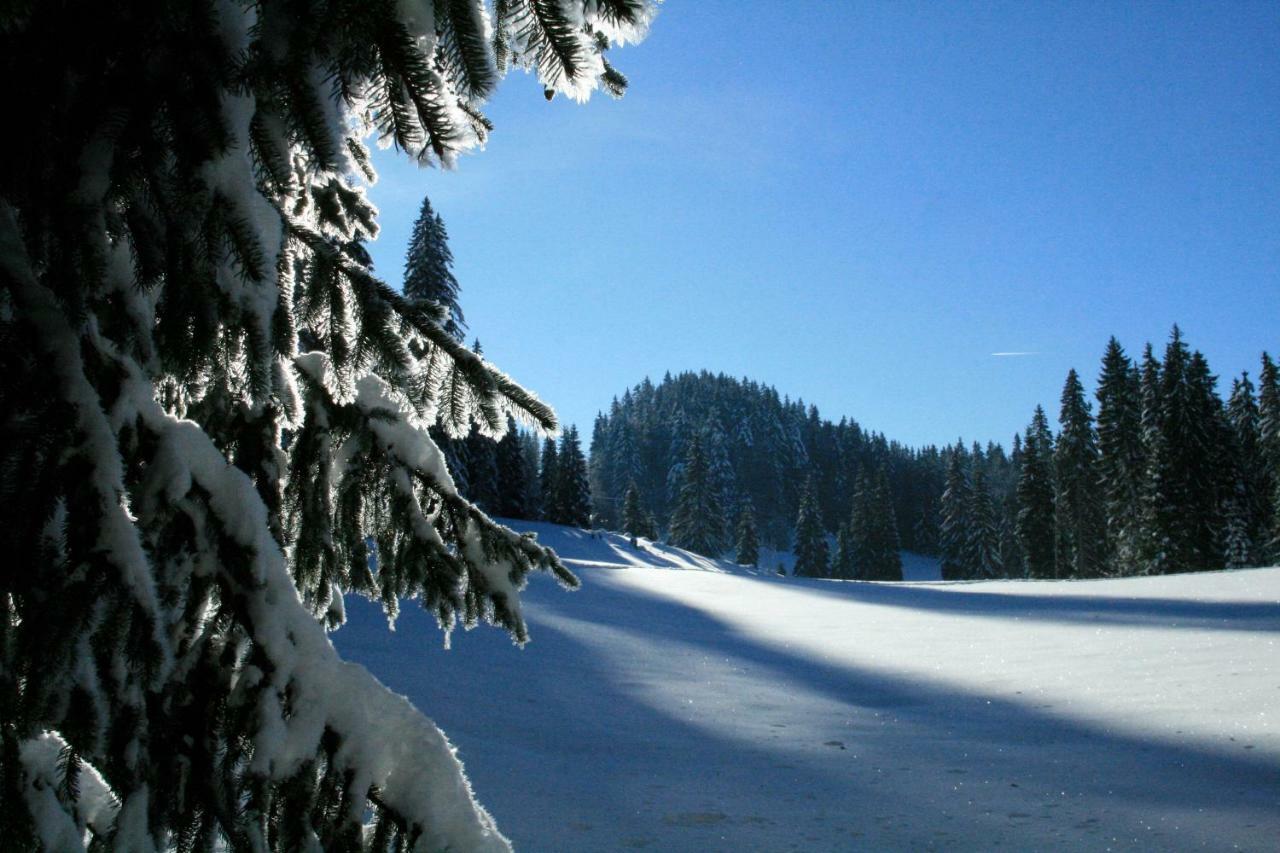 Au Coeur Du Lapidaire Septmoncel-Les-Molunes Экстерьер фото