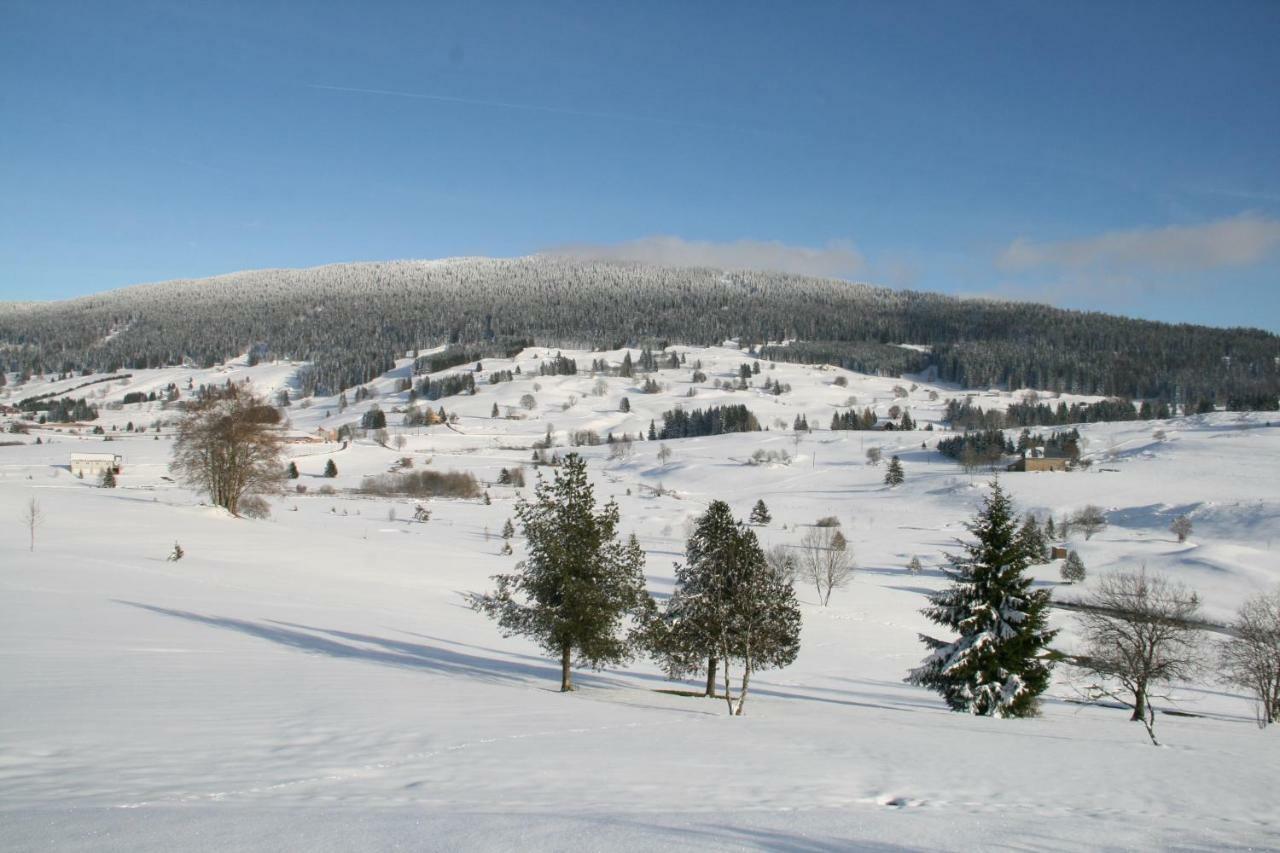 Au Coeur Du Lapidaire Septmoncel-Les-Molunes Экстерьер фото