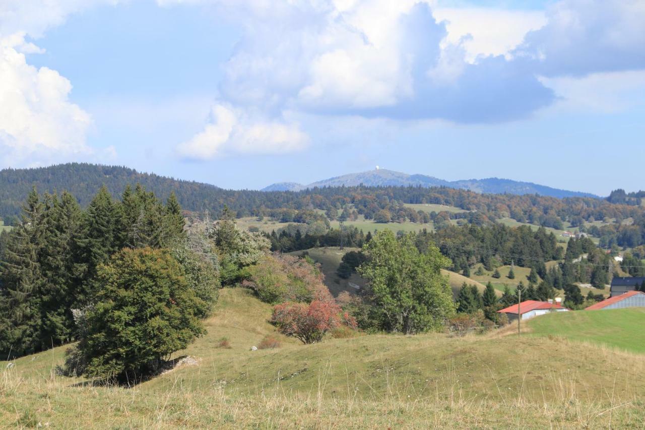 Au Coeur Du Lapidaire Septmoncel-Les-Molunes Экстерьер фото
