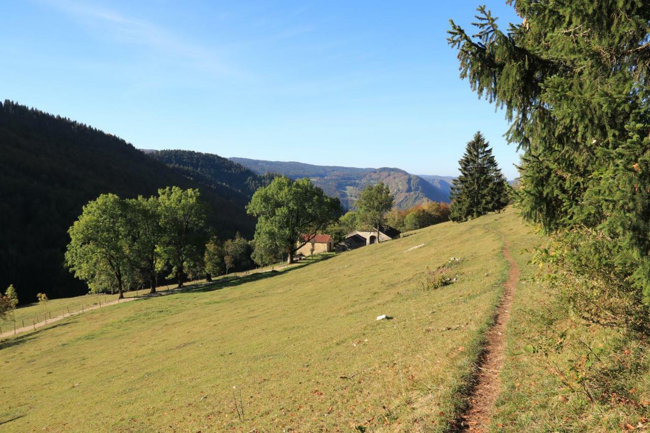 Au Coeur Du Lapidaire Septmoncel-Les-Molunes Экстерьер фото
