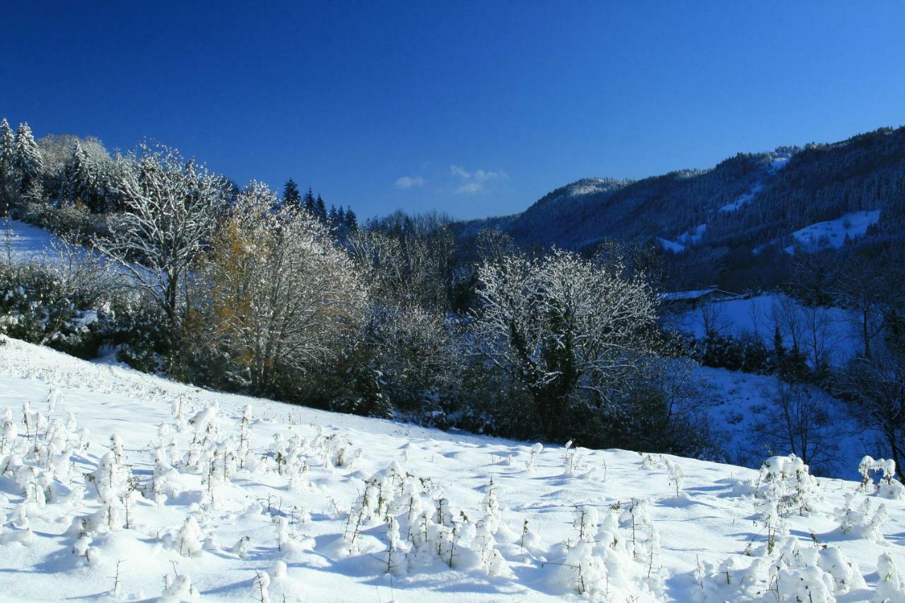 Au Coeur Du Lapidaire Septmoncel-Les-Molunes Экстерьер фото